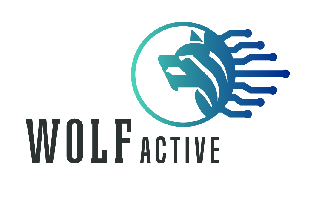 Thiết kế web.jpg